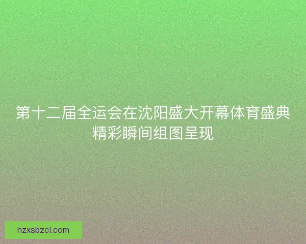 第十二届全运会在沈阳盛大开幕体育盛典精彩瞬间组图呈现